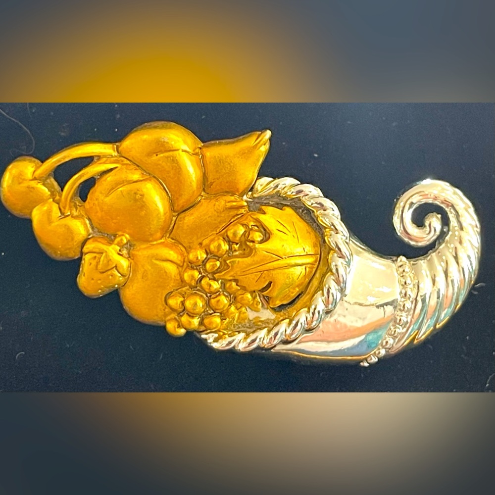 Danecraft Cornucopia Brooch Vintage
Pin Cornucopia in gold and silver tones.